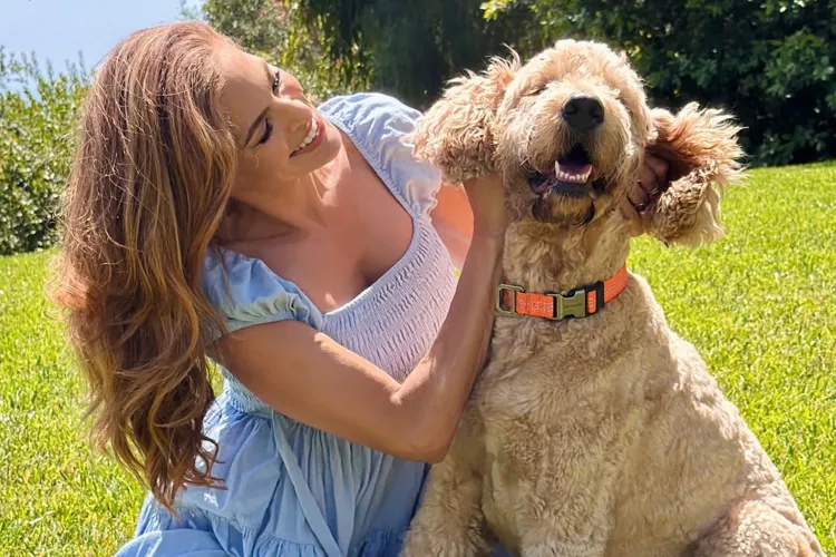 Eva Mendes Anuncia Chegada de Novo Cachorro na Família Poucos Dias Depois de Ryan Gosling Ser Confirmado Como Motoqueiro Fantasma